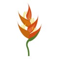 Heliconia tropical natural icon