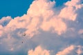 Helicopter extinguish a forest fire