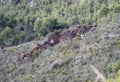 Helicopter crash in the Spanish island of Mallorca