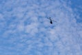 helicopter flying against blue sky Royalty Free Stock Photo