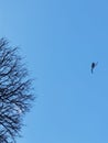 Helicopter flying low over Ankara Royalty Free Stock Photo