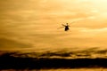 Helicopter Flying at Sunset