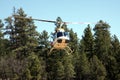 Helicopter in forest Royalty Free Stock Photo