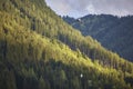 Helicopter rescue training simulation in a mountain range wood. Accident