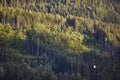 Helicopter rescue training simulation in a mountain range wood. Accident