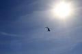 Helicopter in the sky and sun