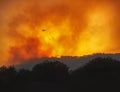 Helicopter fighting forest wildfire at night, dramatic landscape with red sky and heavy smoke