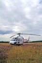 Helicopter on wild meadow Royalty Free Stock Photo