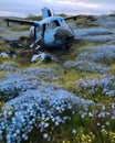 A helicopter wreckage now a vibrant field of forgetmenots Abandoned landscape. AI generation Royalty Free Stock Photo