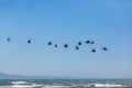 Helicopters Military Formation Flying