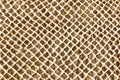 Hell beige snakeskin texture Royalty Free Stock Photo