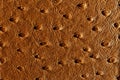 Hell brown leather texture