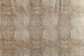 Hell brown snakeskin texture Royalty Free Stock Photo