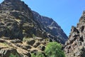 Hell`s Canyon Oregon and Idaho volcanic rock limestone and scrub bushes geologic feature horizontal Royalty Free Stock Photo