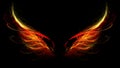 Hell wings Royalty Free Stock Photo