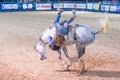 Helldorado days Rodeo Royalty Free Stock Photo