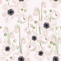 Hellebore anemone Christmas winter rose floral seamless pattern texture. Pink black flowers with green leaves foliage on white nav Royalty Free Stock Photo