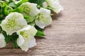 Hellebore flowers helleborus orientalis on wood