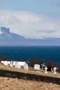 Hellnar cemetery in Iceland