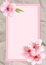 Sakura, cherry blossoms, spring themed cellphone wallpaper lockscreen wallaper