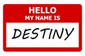 hello my name is destiny tag on white