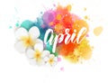 Hello April - floral spring concept background Royalty Free Stock Photo