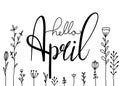 Hello April hand drawn lettering with doodle flowers. Brush calligraphy