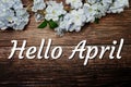 Hello April text and spring flower decoration on wooden background