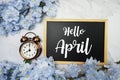 Hello April text on wooden blackboard and flower decoration on marble background