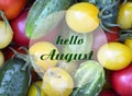 Hello August greeting on a ripe vegetables background.Summer harvest concept. Royalty Free Stock Photo