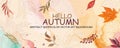 Hello autumn art background with falling leaves. Royalty Free Stock Photo