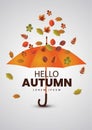 Hello Autumn. Autumn vector illustration background with orange color umbrella