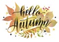 Hello Autumn banner or background with colorful leaves, berries and lettering inscription. Royalty Free Stock Photo