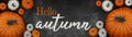 Hello autumn banner background panorama - Autumnal Holiday Harvest still life, Set of various pumpkins on dark concrete stone Royalty Free Stock Photo