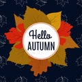 Hello autumn banner with color leaves and maple foliage