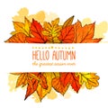 Hello autumn banner with orange and red hand drawn