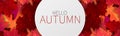 Hello autumn banner with red and orange maple leaves on the background. Royalty Free Stock Photo