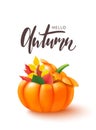 Hello Autumn banner template with pumpkin and leaves. Poster, card, label, web banner. Vector illustration Royalty Free Stock Photo