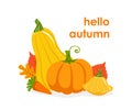 Hello Autumn Banner Template, Seasonal Poster with Bright Leaves and Pumpkins Vector Illustration