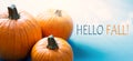 Hello autumn banner; thanksgiving holiday party background with autumn pumpkin on blue background