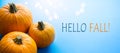 Hello autumn banner; thanksgiving holiday party background with autumn pumpkin on blue background