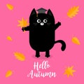 Hello autumn. Black cat Graduation hat Academic Cap Orange red fall leaf. Happy surprised emotion. Cute funny cartoon baby charact