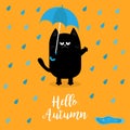Hello autumn. Black cat holding blue umbrella. Rain drops, puddle. Angry sad emotion. Hate fall. Cute funny cartoon baby character Royalty Free Stock Photo