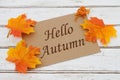Hello Autumn Card Royalty Free Stock Photo