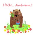 Hello autumn card with cartoon character bear, vector illustration.