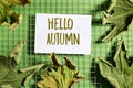hello autumn card with dried leaves on fence background. Thanksgiving concept bright autumn leaves Royalty Free Stock Photo
