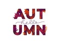 Hello autumn card with lettering and leaves Royalty Free Stock Photo