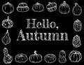Hello autumn chalkboard inscription cute cozy banner with pumpkins. Autumn festive blackboard poster. Fall harvest greetings