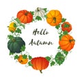 Hello autumn circular frame with multicolored pumpkins.