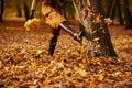 Closeup on modern woman outdoors in autumn park kicking leaves